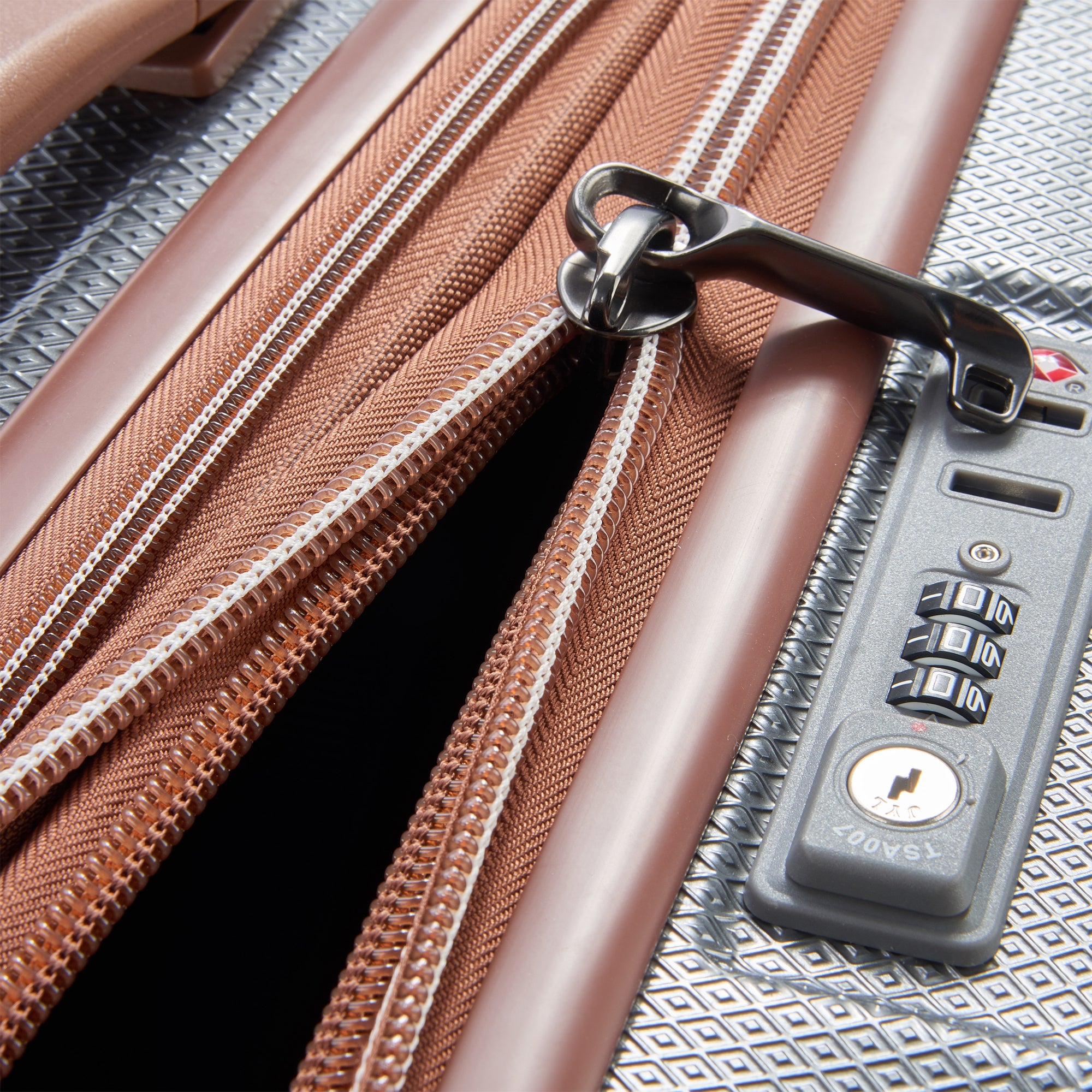 CARROUSEL | 30-Inch Expandable Check-In Suitcase, Platinum